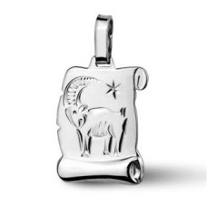 Stříbrný přívěsek znamení KOZOROH