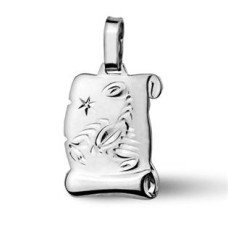 Stříbrný přívěsek znamení ŠTÍR