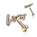 Zlacený piercing do brady Love