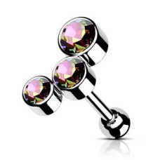Cartilage /  helix / tragus piercing
