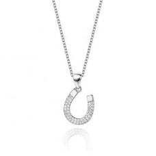 Střibrný náhrdelník s podkovičkou