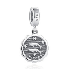 Stříbrný přívěšek korálek znamení horoskopu