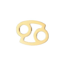 Navlékací ocelový korálek - znamení horoskopu