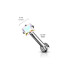 Piercing do brady labreta / cartilge