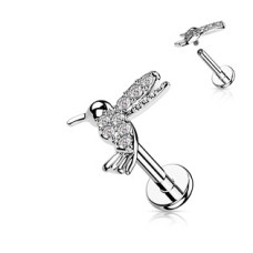 Piercing do brady - kolibřík
