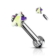 Piercing do brady labreta / cartilge