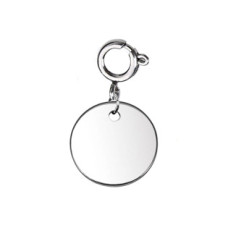 Ocelový přívěsek s karabinou