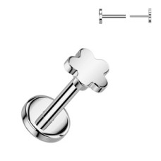Piercing do brady - PUSH IN labreta titan, 1,0 x 6 mm