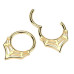 Zlacený ocelový kruh - helix / cartilage / septum piercing