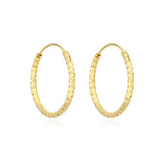 Zlacené stříbrné náušnice kruhy 25 mm