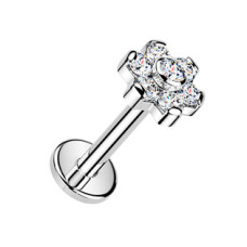 Piercing do brady - labreta kytička TITAN