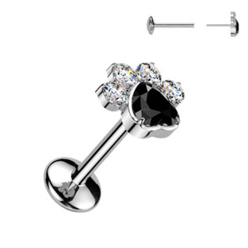 Piercing do brady tlapka - PUSH IN labreta TITAN Piercing do brady tlapka - PUSH IN labreta TITAN