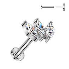 Piercing do brady - PUSH IN labreta TITAN