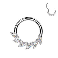 Segment kruh - septum / helix / cartilage / tragus piercing TITAN