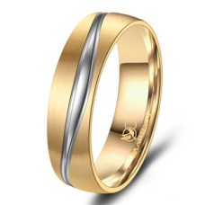 Pánský snubní prsten Titan