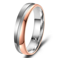 Pánský snubní prsten Titan
