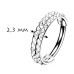 Piercing segment kruh TITAN s hrotíky Piercing segment kruh TITAN s hrotíky
