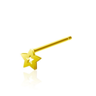 Zlacený stříbrný piercing do nosu hvězda
